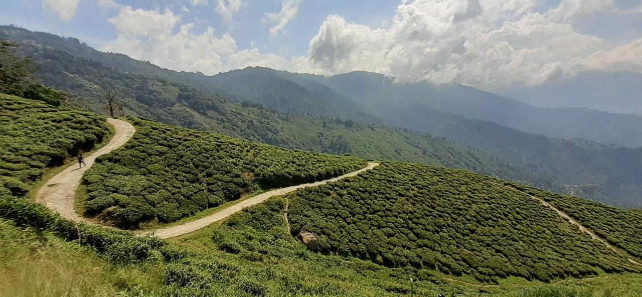 Villa Rajbari Farms à Darjeeling  Extérieur photo